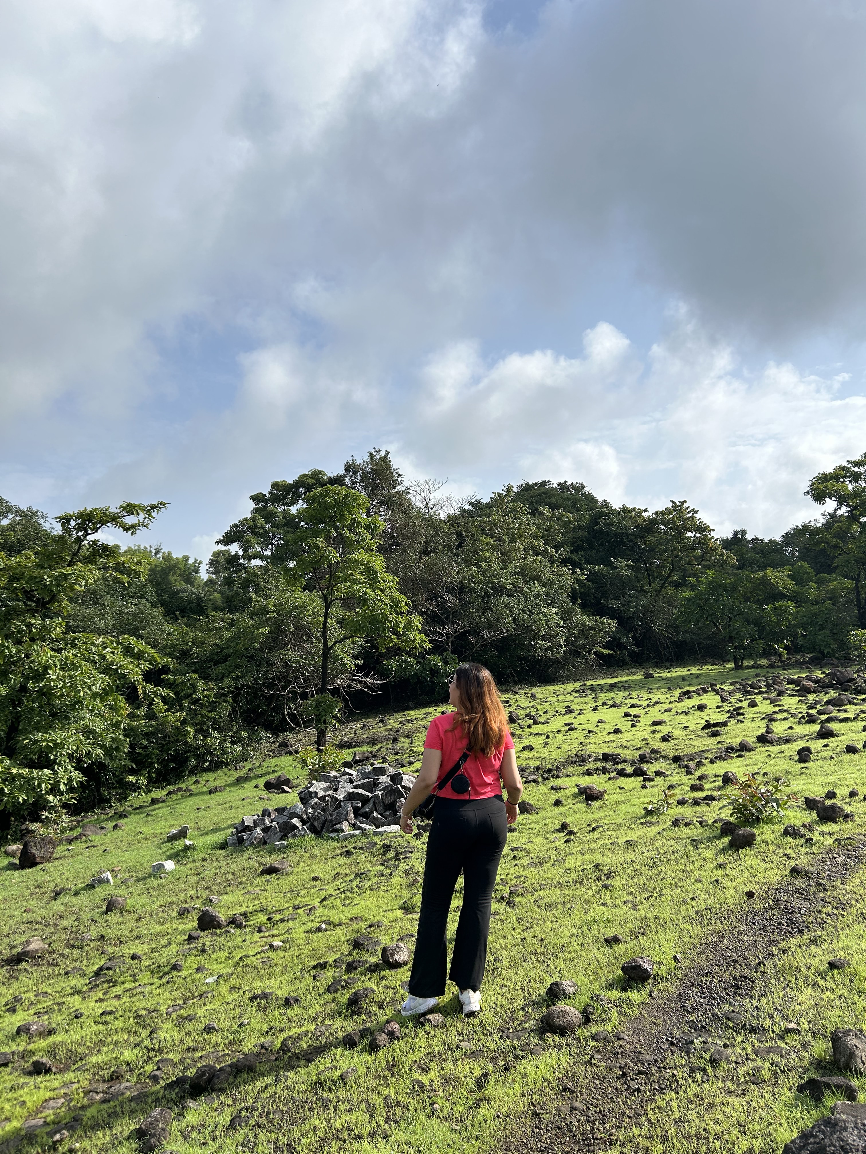 Standing in a green field under a wide sky